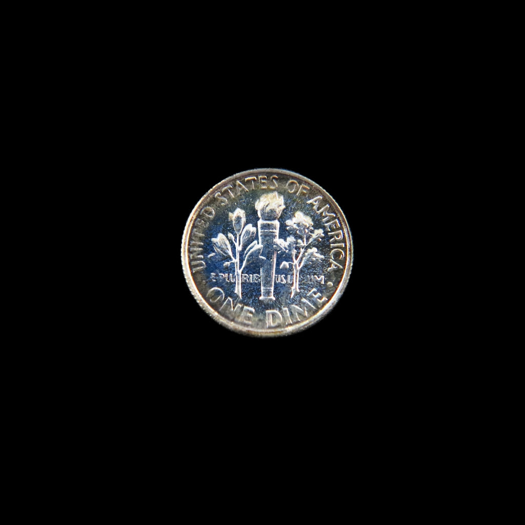 1955 Roosevelt Dime proof with attractive toning, 90% silver, raw U.S. coin showcasing detailed design and metallic finish.