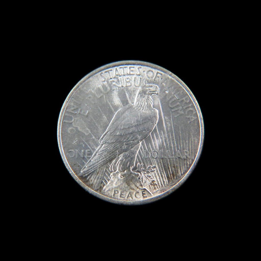 1923 Peace Silver Dollar – MS – Nice Luster – Raw U.S. Silver Coin - Black Market LLC